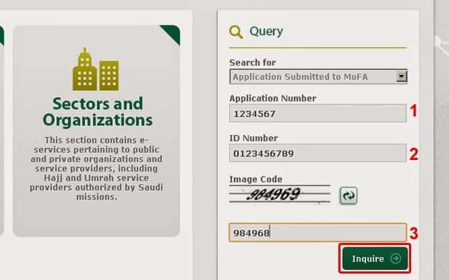 Check Your Saudi Arabia e-Visa Status
